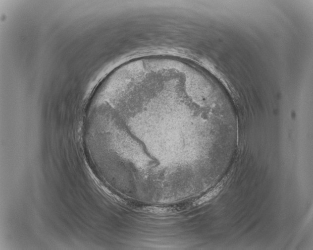 X0000081571500200702051201