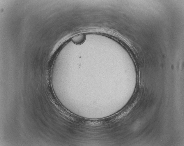 X0000081571501200702051201