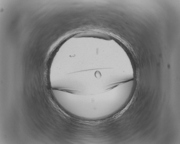 X0000081571502200702051201