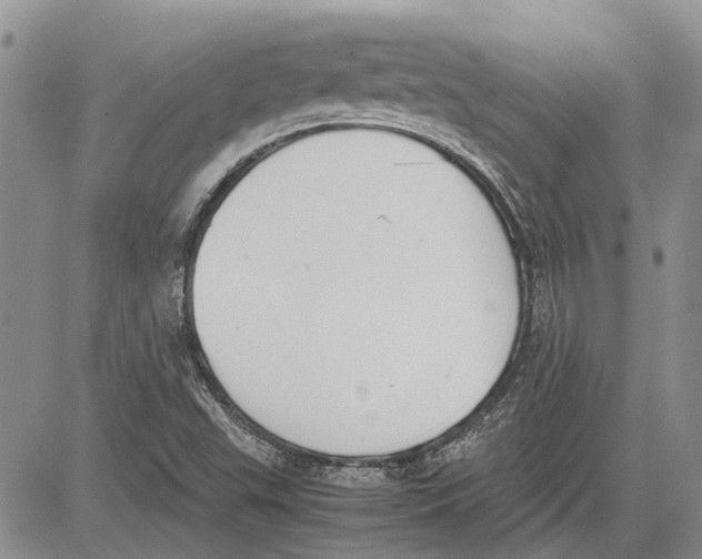 X0000081571503200702051201