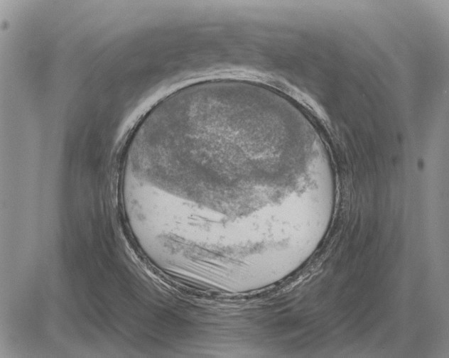 X0000081571504200702051201