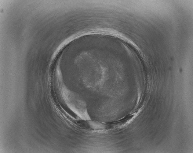 X0000081571506200702051201