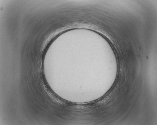 X0000081571507200702051201