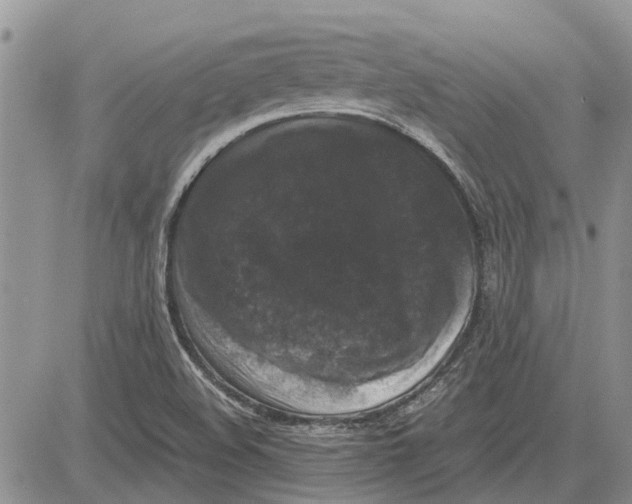 X0000081571508200702051201