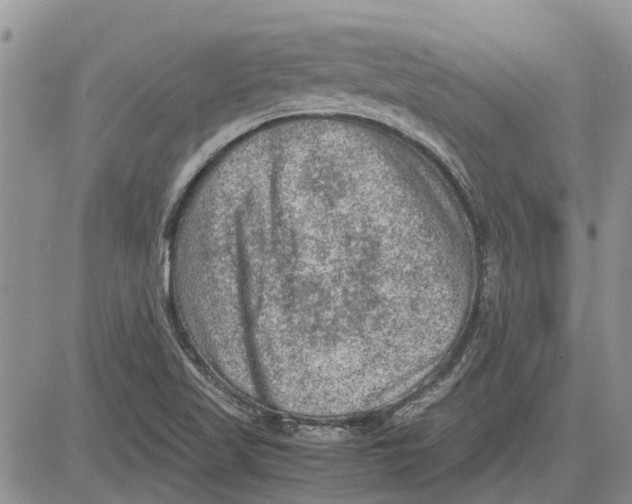 X0000081571509200702051201