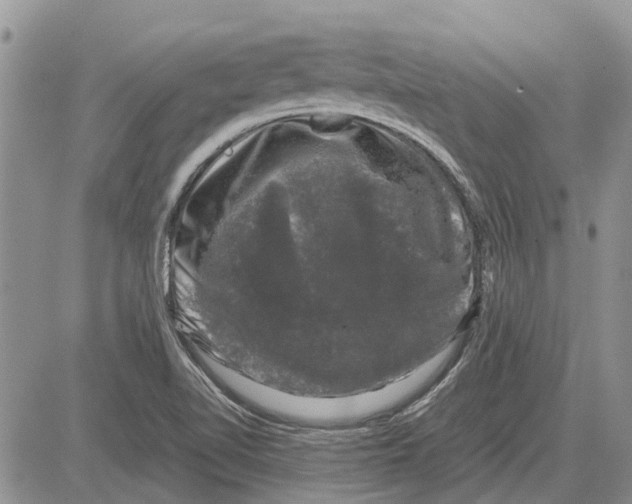 X0000081571510200702051201