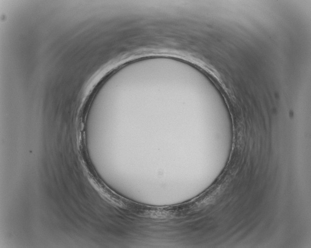 X0000081571511200702051201