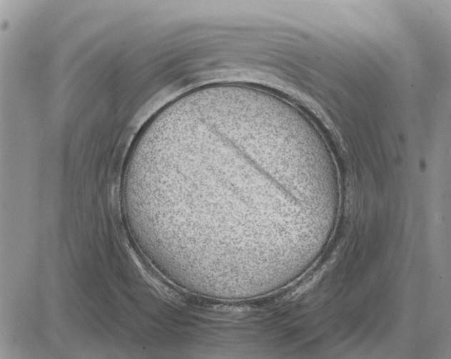 X0000081571513200702051201