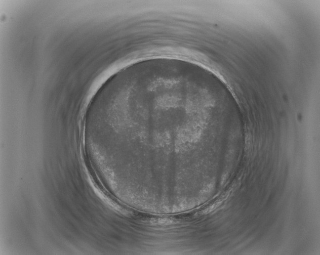 X0000081571515200702051201