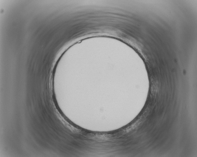 X0000081571516200702051201