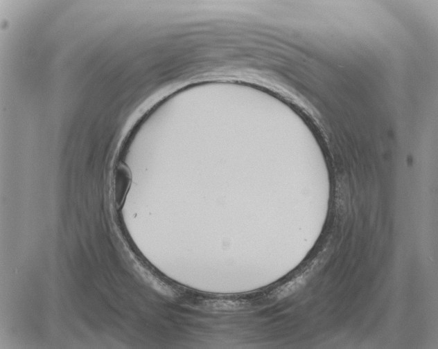 X0000081571517200702051201