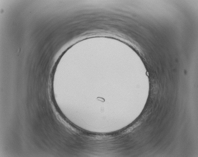 X0000081571518200702051201