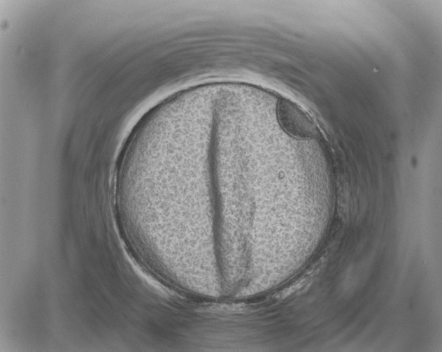 X0000081571519200702051201