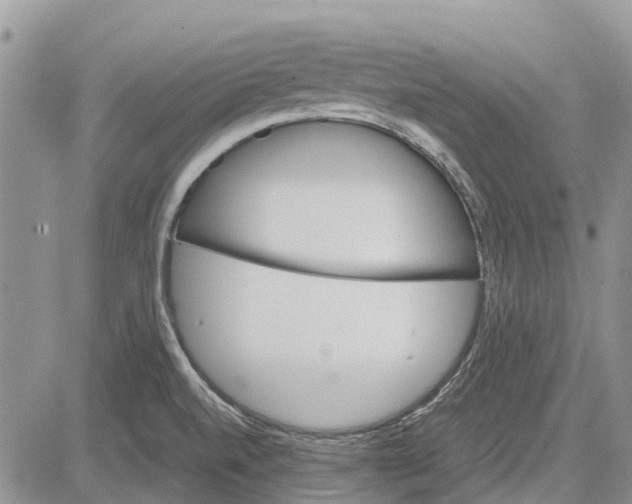 X0000081571520200702051201