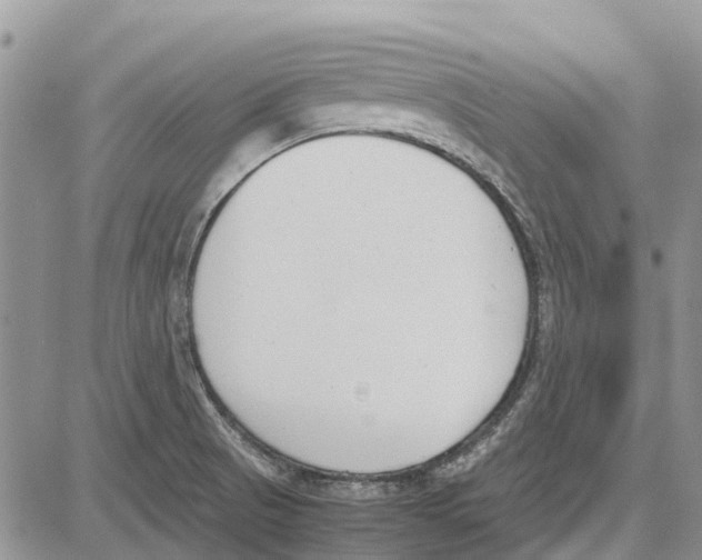 X0000081571521200702051201