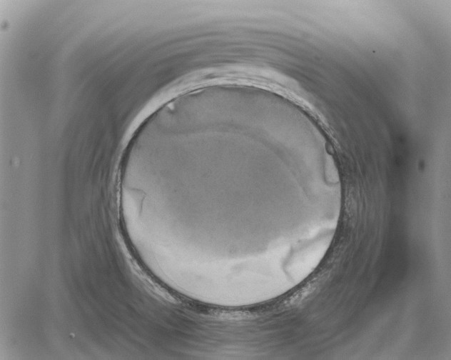 X0000081571522200702051201