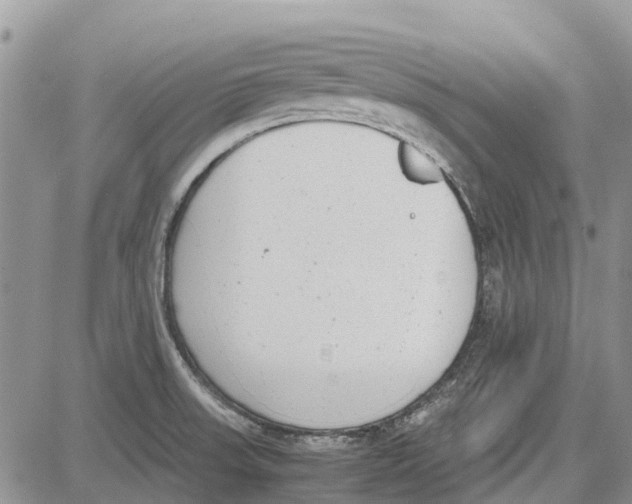 X0000081571523200702051201