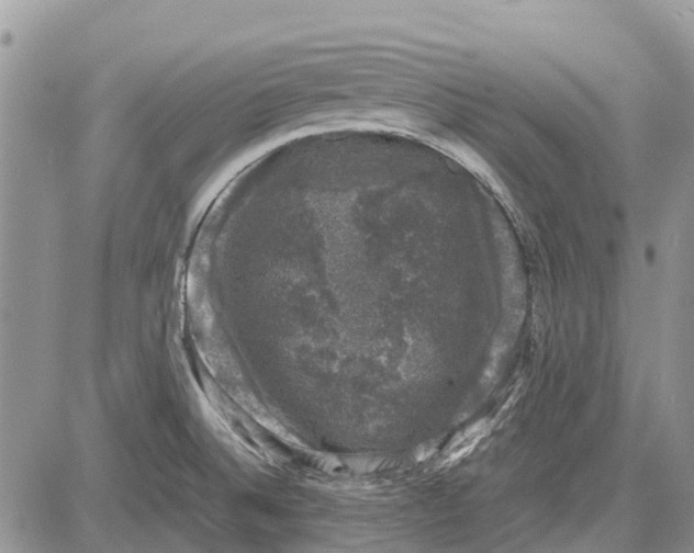 X0000081571524200702051201