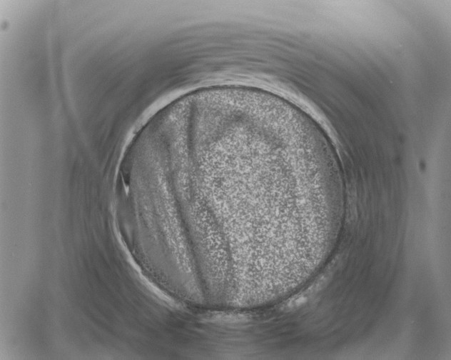 X0000081571525200702051201