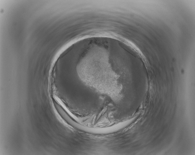 X0000081571528200702051201