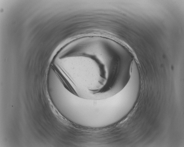 X0000081571530200702051201