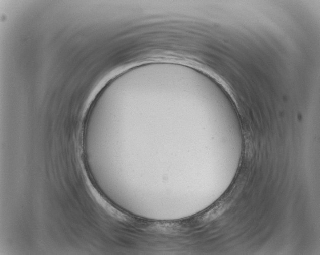 X0000081571531200702051201