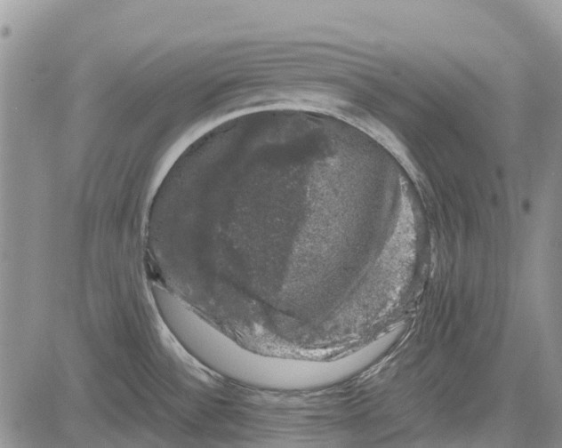 X0000081571532200702051201