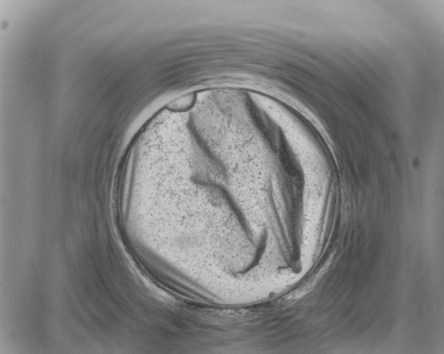 X0000081571533200702051201