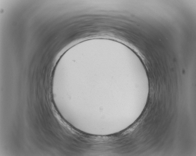 X0000081571534200702051201