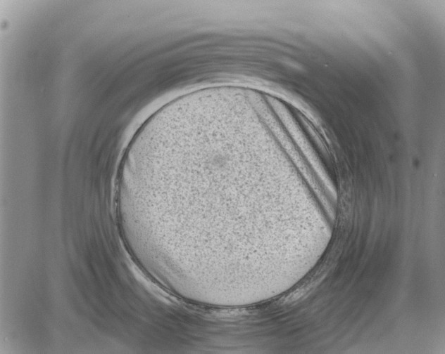 X0000081571535200702051201