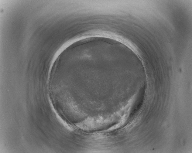 X0000081571536200702051201