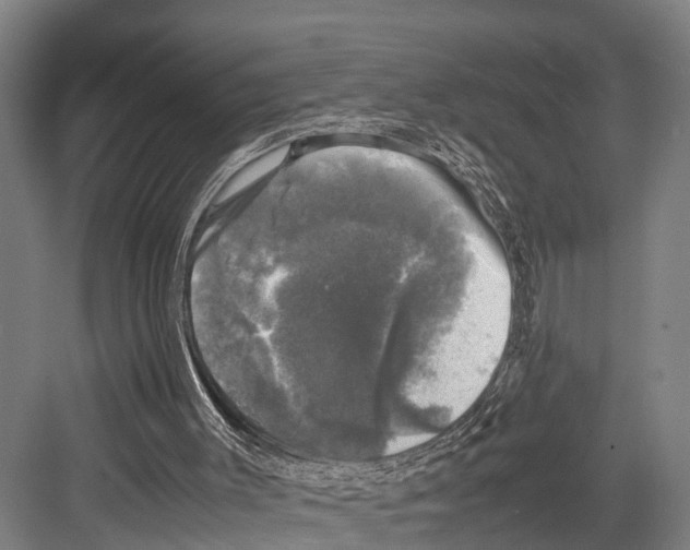 X0000081570003200702121434