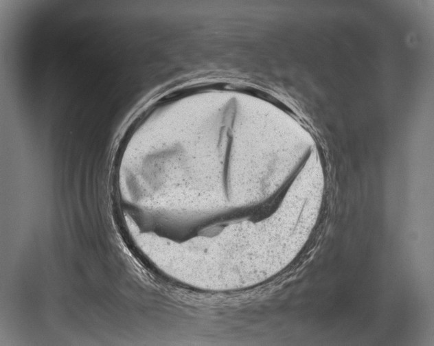 X0000081570007200702121434