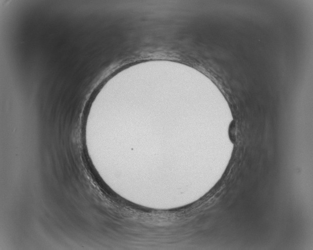 X0000081570008200702121434