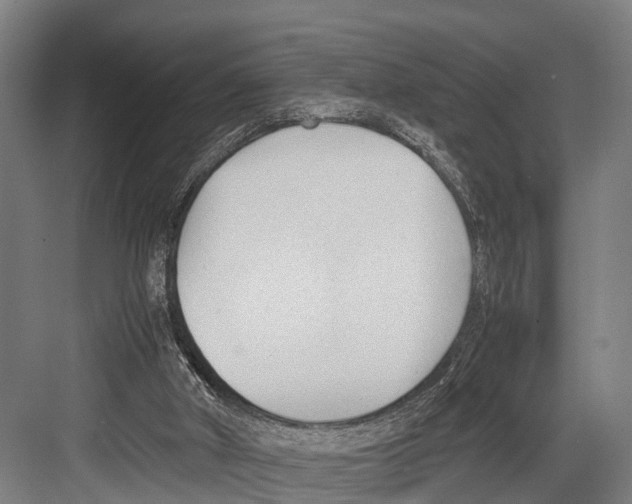 X0000081570010200702121433