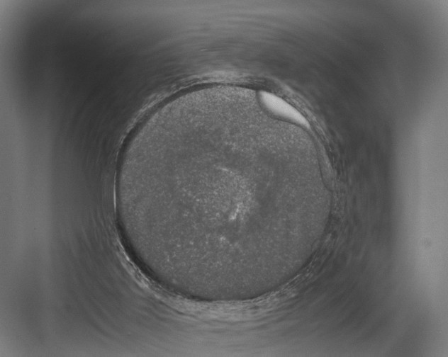 X0000081570011200702121433