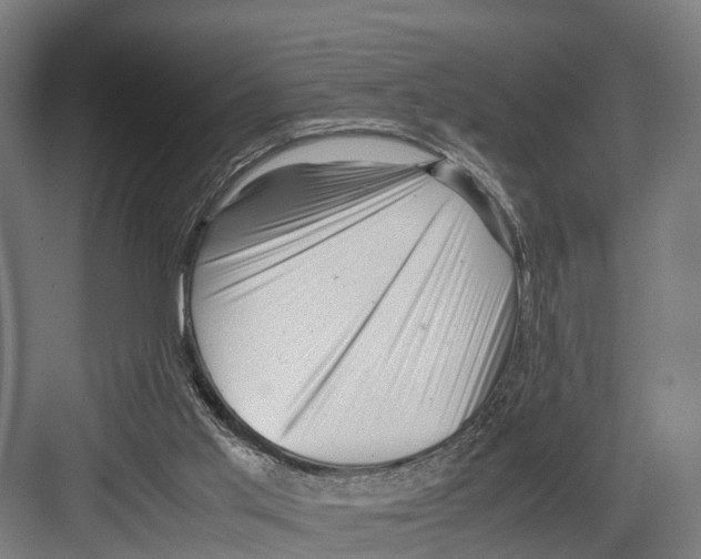 X0000081570013200702121433