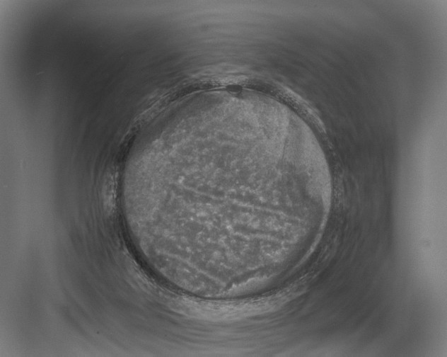 X0000081570018200702121433