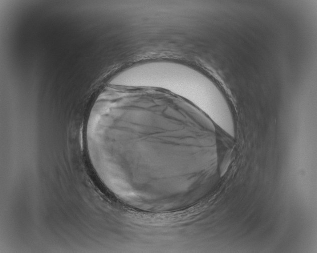 X0000081570019200702121433