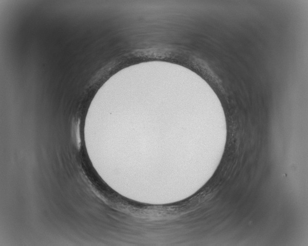 X0000081570020200702121433