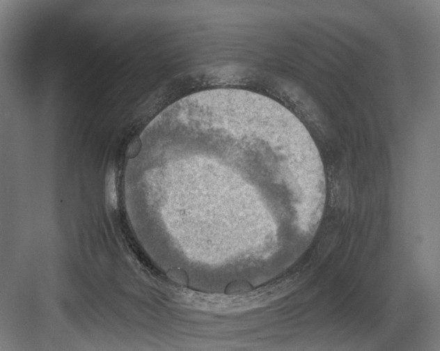 X0000081570026200702121433