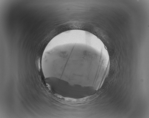 X0000081570027200702121433