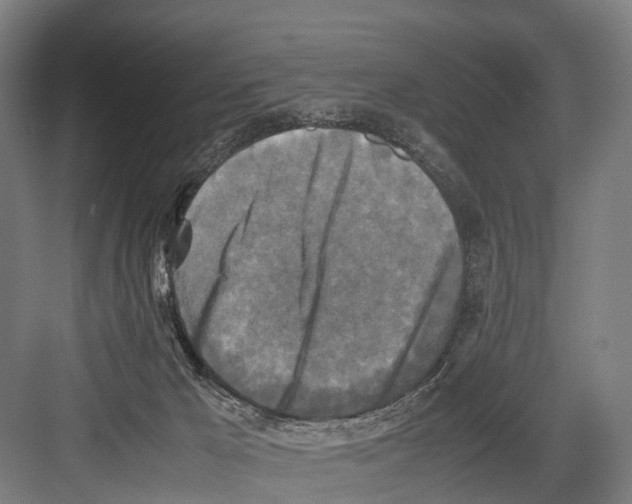 X0000081570029200702121433