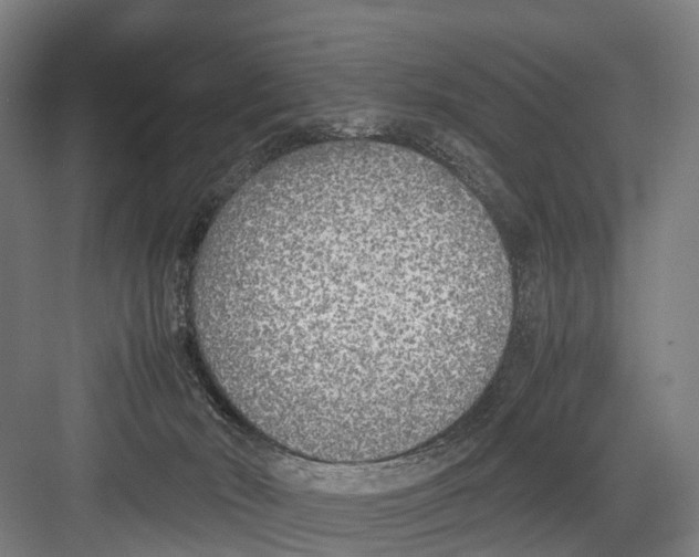 X0000081570030200702121433