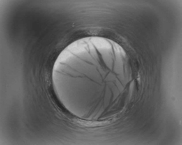 X0000081570031200702121433