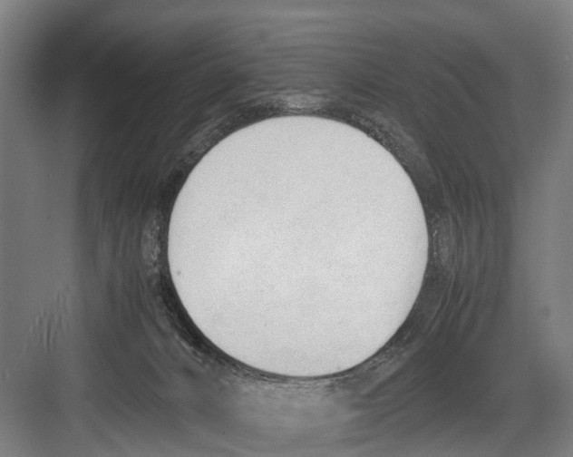 X0000081570032200702121433