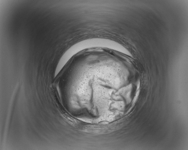 X0000081570033200702121433