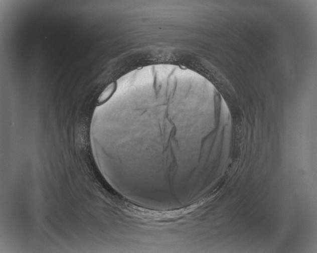 X0000081570035200702121433