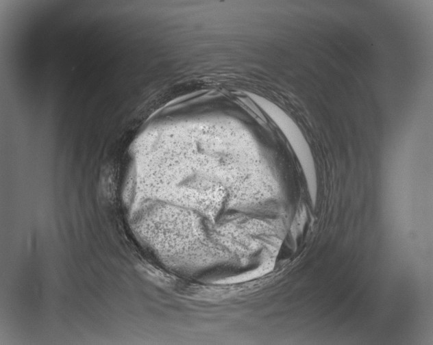 X0000081570037200702121433