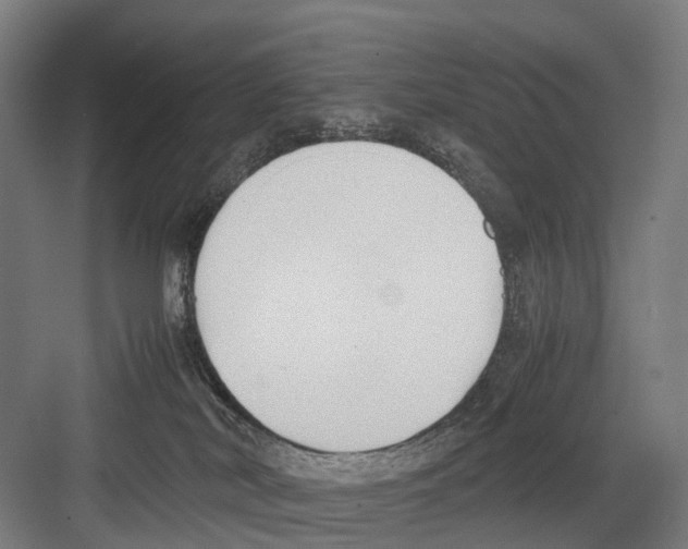 X0000081570038200702121433